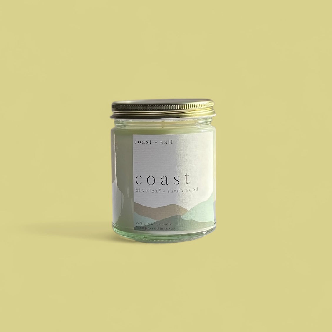 Coast | Olive Leaf + Sandalwood Single Wick Candle
